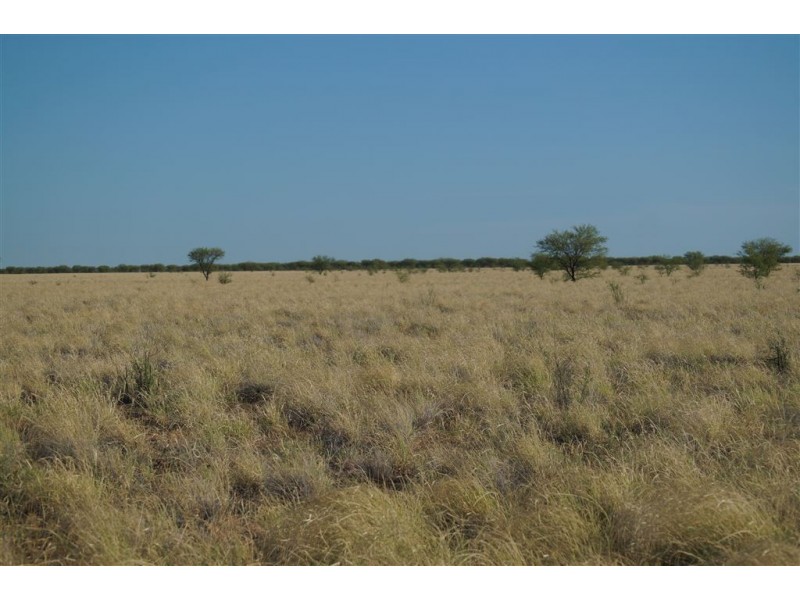 . CORKWOOD, Richmond QLD 4822