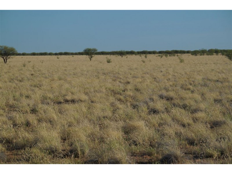 . CORKWOOD, Richmond QLD 4822