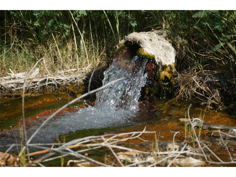 . CORKWOOD, Richmond QLD 4822