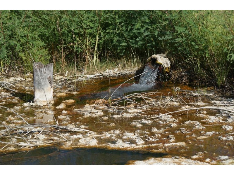 . CORKWOOD, Richmond QLD 4822