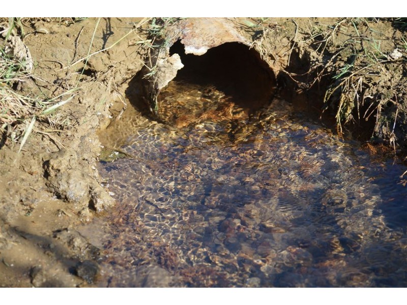 . CORKWOOD, Richmond QLD 4822