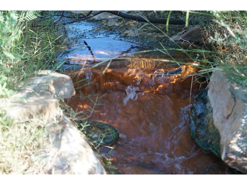 . CORKWOOD, Richmond QLD 4822