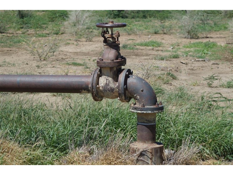 . CORKWOOD, Richmond QLD 4822