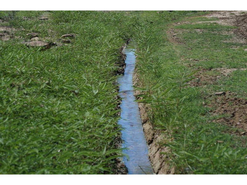 . CORKWOOD, Richmond QLD 4822