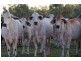 . “Claraville”, Richmond QLD 4822