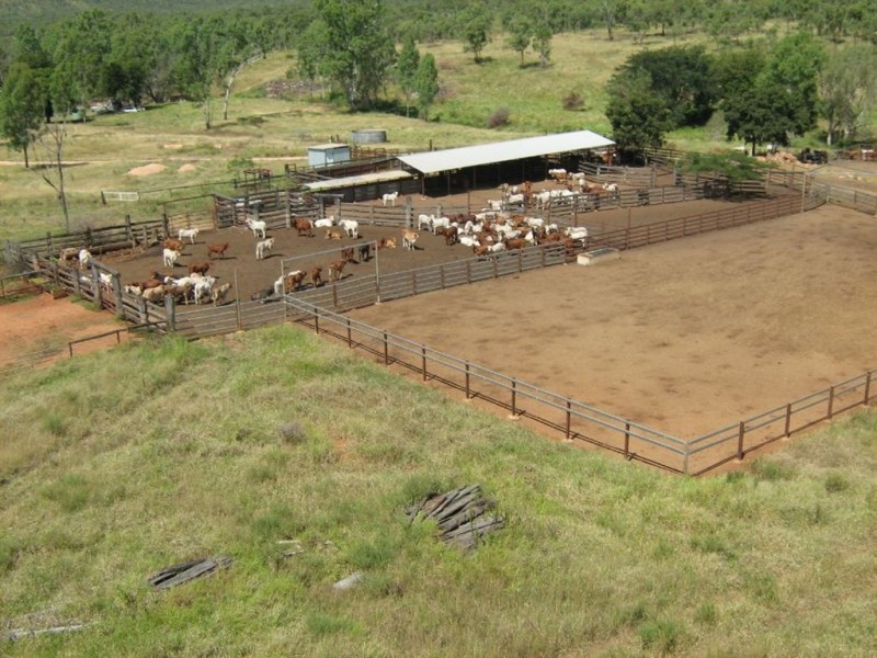 . Hillsborough Station, Ayr QLD 4807