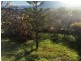 7 First Avenue, West Moonah TAS 7009
