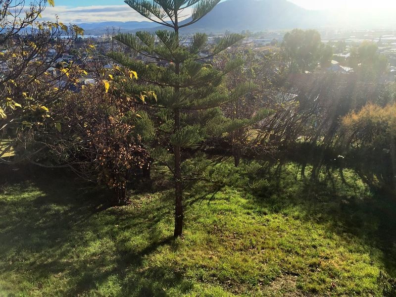 7 First Avenue, West Moonah TAS 7009