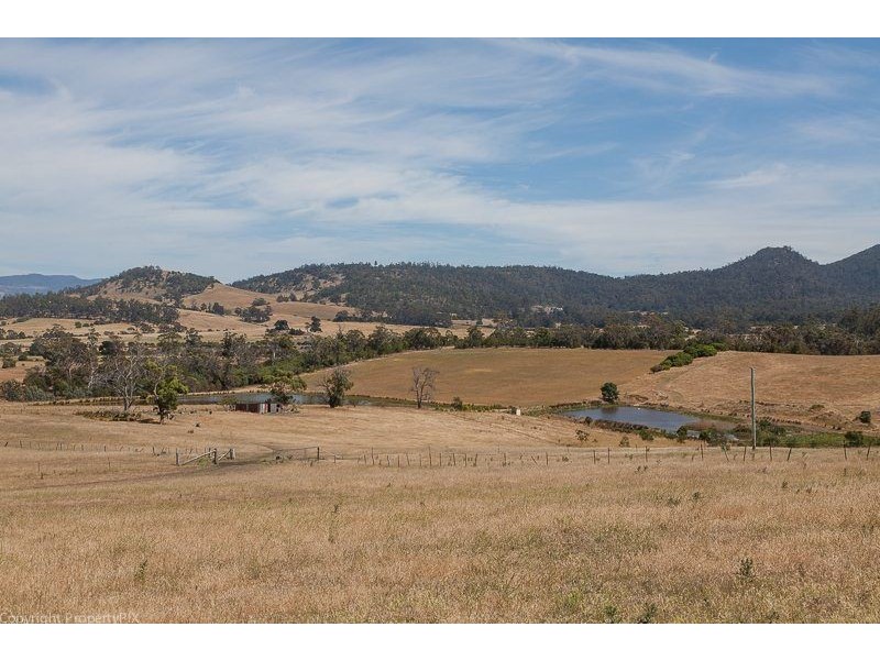 155 Greens Road, Orielton TAS 7172