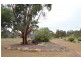 133 Native Corners Road, Campania TAS 7026