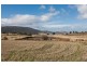 792 Middle Tea Tree Road, Tea Tree TAS 7017