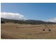 792 Middle Tea Tree Road, Tea Tree TAS 7017