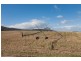 792 Middle Tea Tree Road, Tea Tree TAS 7017