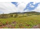 89 McGann Drive, Brighton TAS 7030