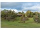 241 Briggs Road, Honeywood TAS 7017