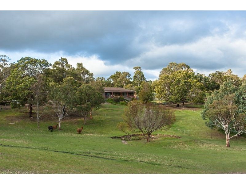 241 Briggs Road, Honeywood TAS 7017