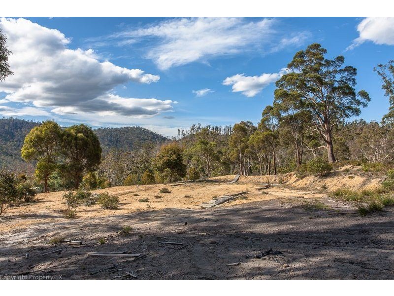 Lot 1 & 2 469 Glen Dhu Road, Molesworth TAS 7140