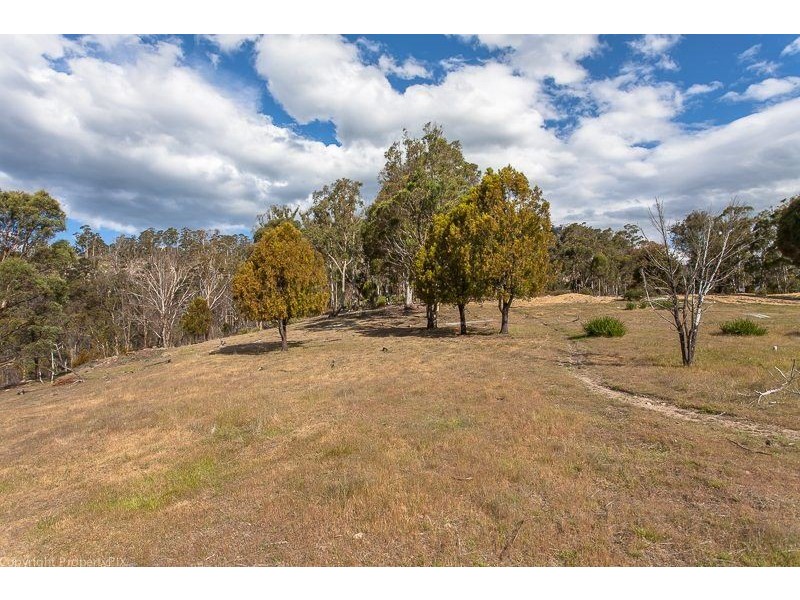 Lot 1 & 2 469 Glen Dhu Road, Molesworth TAS 7140
