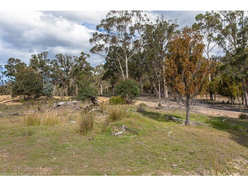 Lot 1 & 2 469 Glen Dhu Road, Molesworth TAS 7140