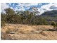 Lot 1 & 2 469 Glen Dhu Road, Molesworth TAS 7140
