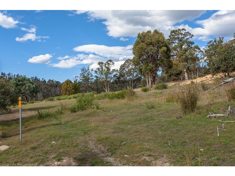 Lot 1 & 2 469 Glen Dhu Road, Molesworth TAS 7140