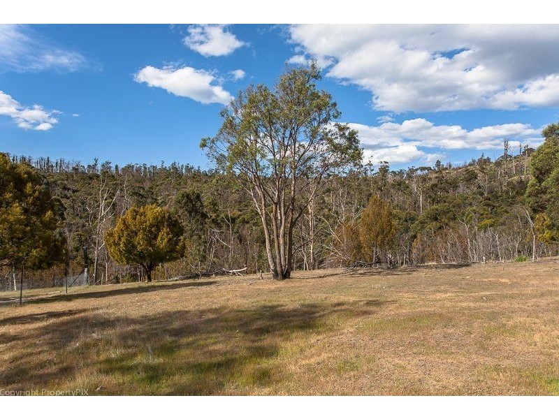 Lot 1 & 2 469 Glen Dhu Road, Molesworth TAS 7140