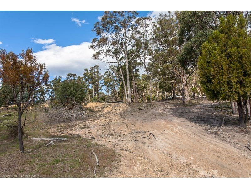 Lot 1 & 2 469 Glen Dhu Road, Molesworth TAS 7140