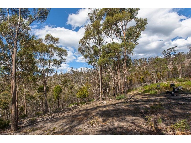 Lot 1 & 2 469 Glen Dhu Road, Molesworth TAS 7140
