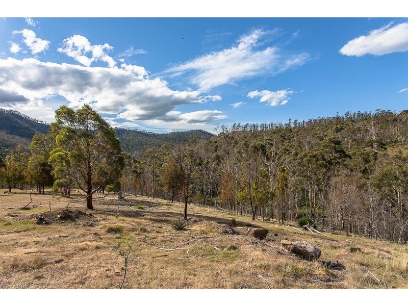 Lot 1 & 2 469 Glen Dhu Road, Molesworth TAS 7140