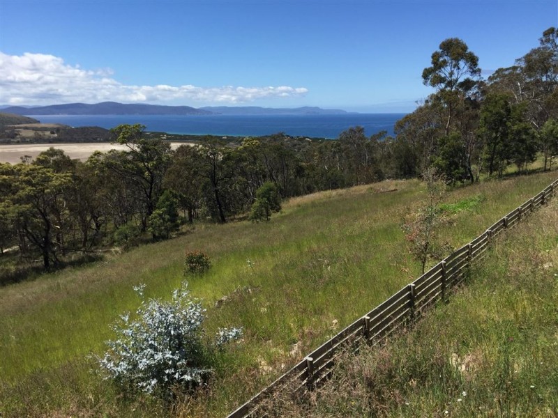 813 Gellibrand Drive, Sandford TAS 7020