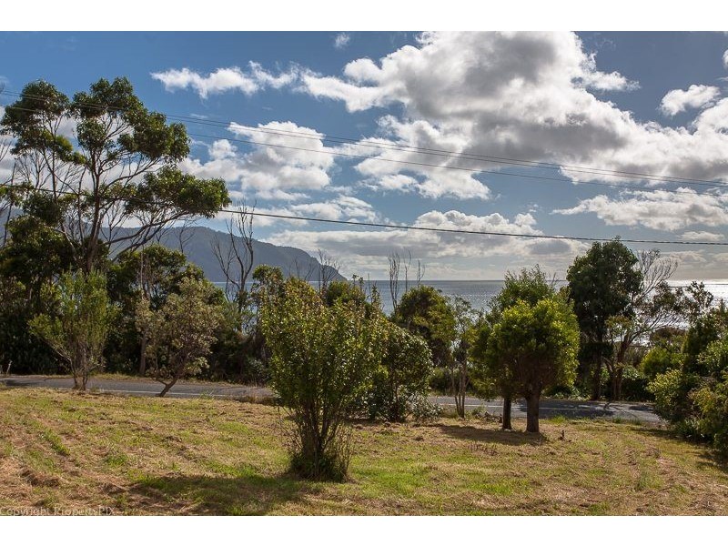 220 Blowhole Road, Eaglehawk Neck TAS 7179