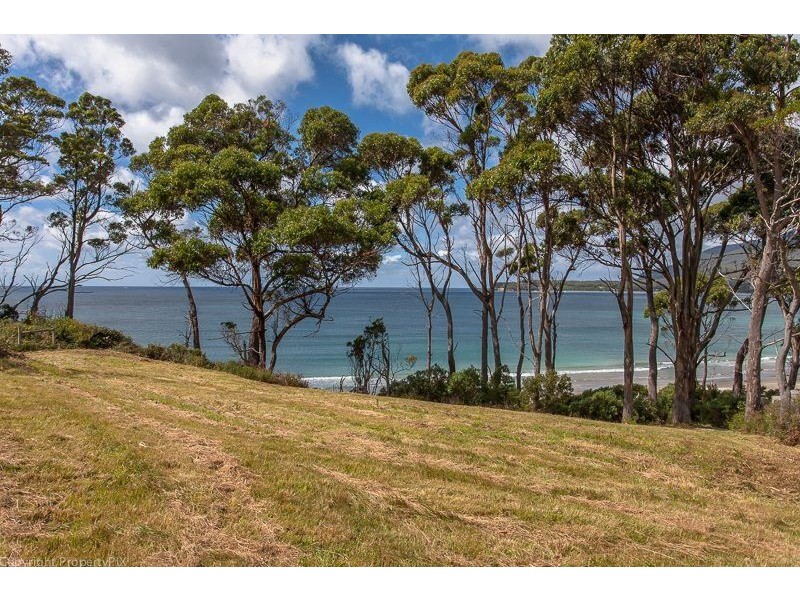393 Pirates Bay Drive, Eaglehawk Neck TAS 7179
