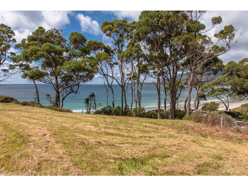 393 Pirates Bay Drive, Eaglehawk Neck TAS 7179