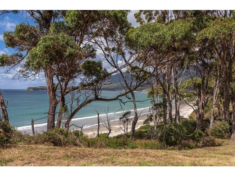 393 Pirates Bay Drive, Eaglehawk Neck TAS 7179