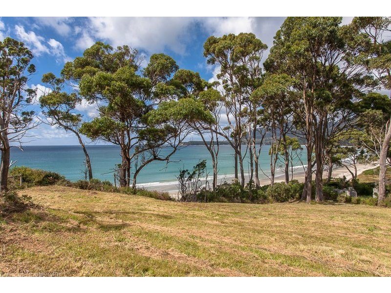 393 Pirates Bay Drive, Eaglehawk Neck TAS 7179