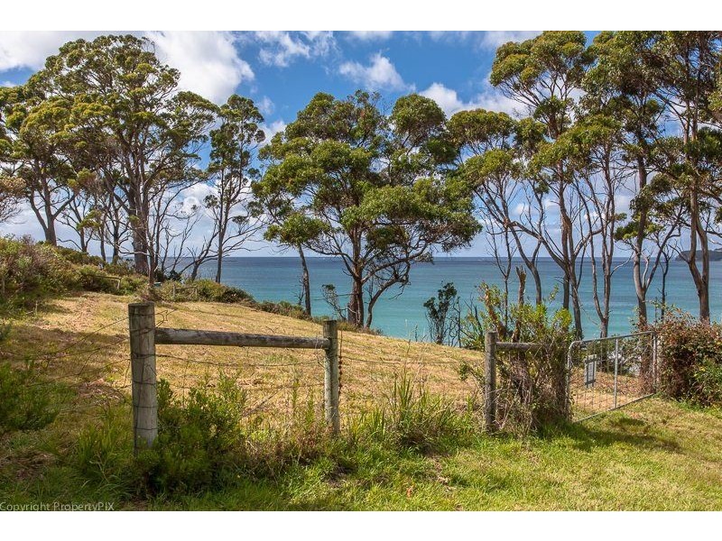 393 Pirates Bay Drive, Eaglehawk Neck TAS 7179