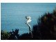 863 Roaring Beach Road, Nubeena TAS 7184