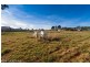 Lot 2/41 Inkerman Street, Triabunna TAS 7190