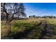 Lot 2/41 Inkerman Street, Triabunna TAS 7190