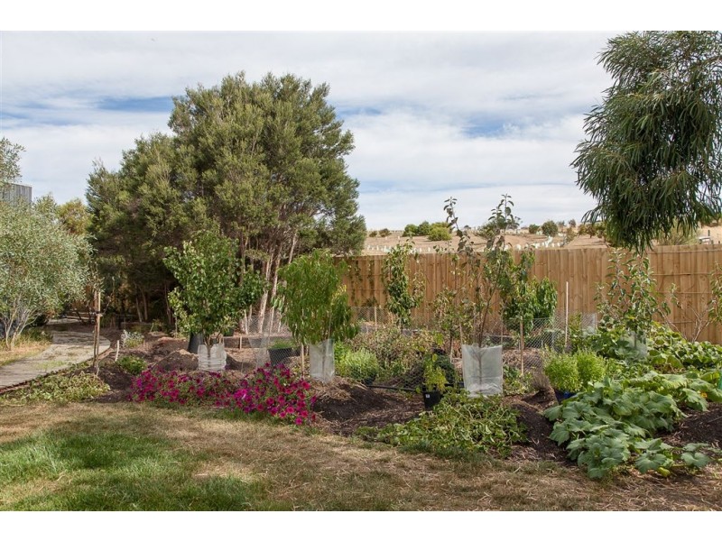 442 Clifton Beach Road, Clifton Beach TAS 7020