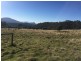 664 Bream Creek Road, Bream Creek TAS 7175