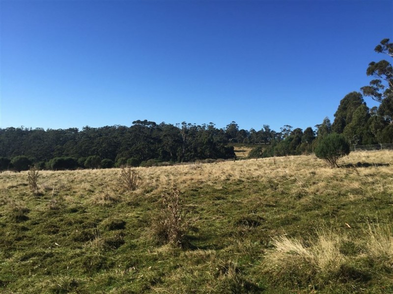 664 Bream Creek Road, Bream Creek TAS 7175