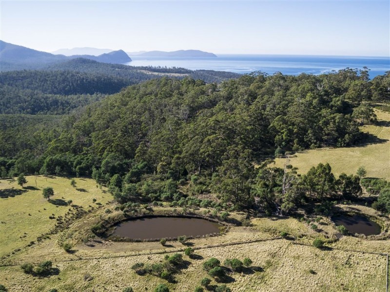 664 Bream Creek Road, Bream Creek TAS 7175