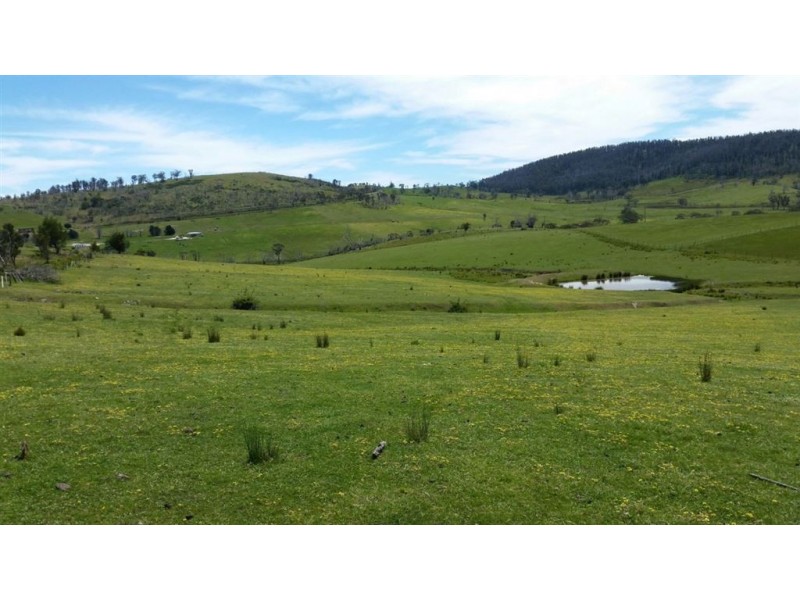 Lot4/172 Primrose Sands Road, Carlton River TAS 7173