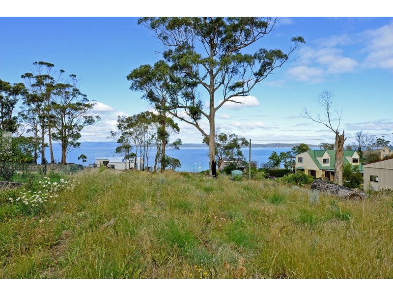 13 Connellys Marsh Road, Connellys Marsh TAS 7173