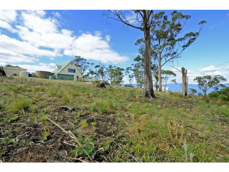 13 Connellys Marsh Road, Connellys Marsh TAS 7173