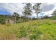 13 Connellys Marsh Road, Connellys Marsh TAS 7173