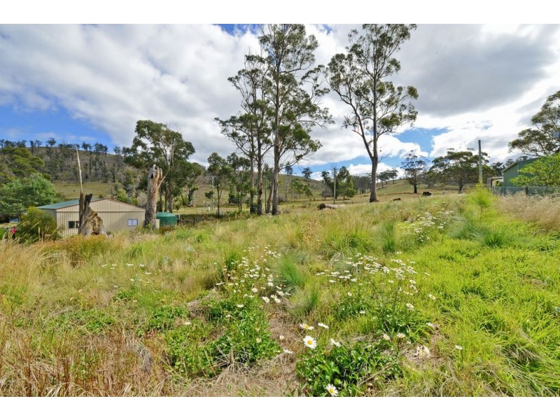 13 Connellys Marsh Road, Connellys Marsh TAS 7173