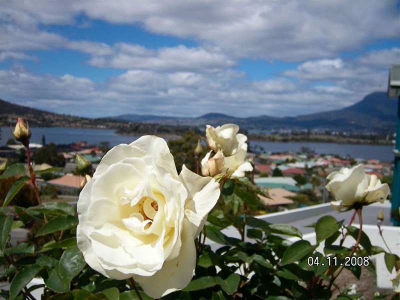6 Natlee Crescent, Old Beach TAS 7017