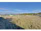 20 Alexander Circle, Campania TAS 7026